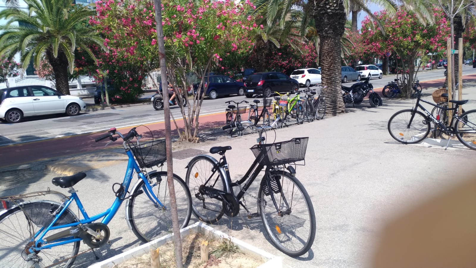 ascoli vigili biciclette