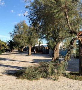 Ciarrocchi Primo  Articoli in legno - Ciarrocchi Primo