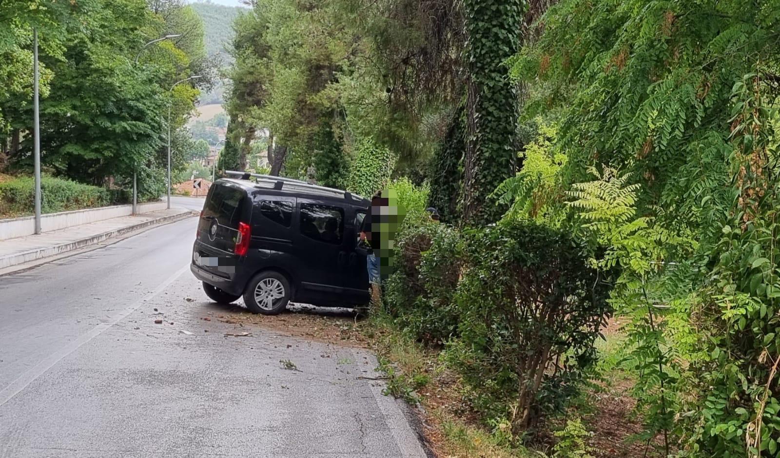 Auto Si Schianta Contro Un Albero All’Annunziata: Ferito Un 42enne ...