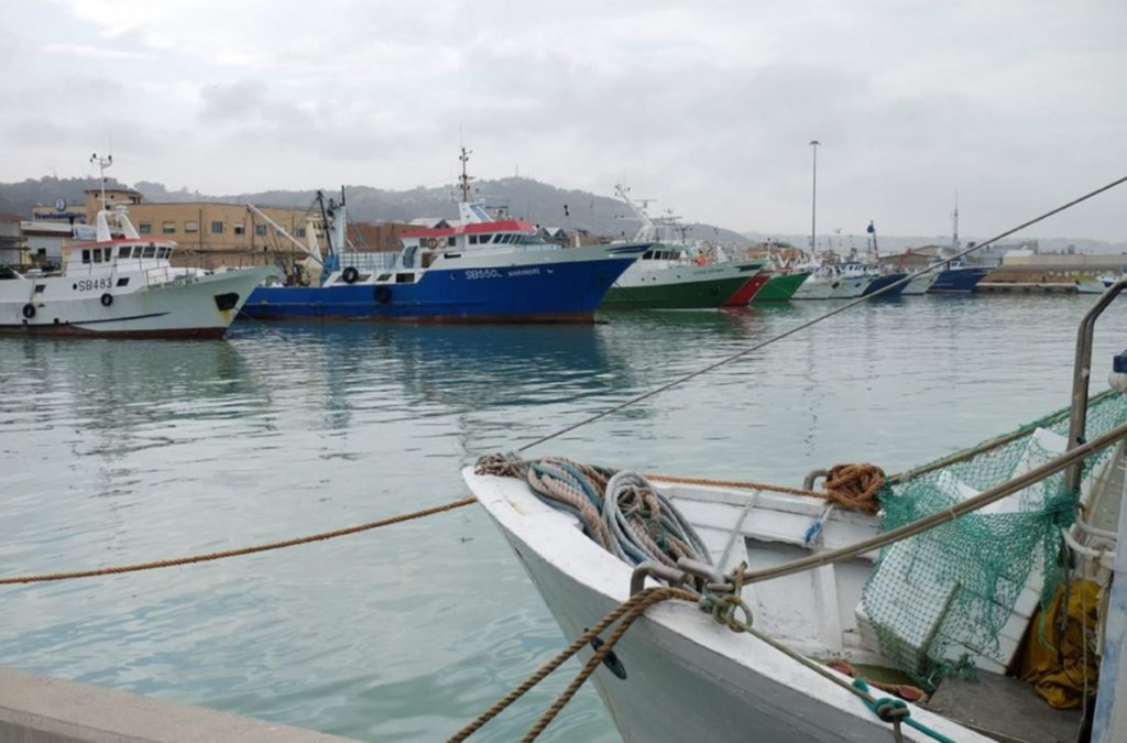 Il Governo non modifica il fermo pesca delle sardine, gli armatori: «Pronti  a ricorrere al Tar»